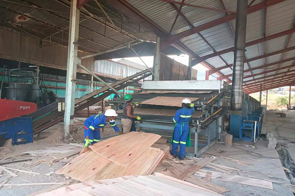 楊木單板深夜福利无码