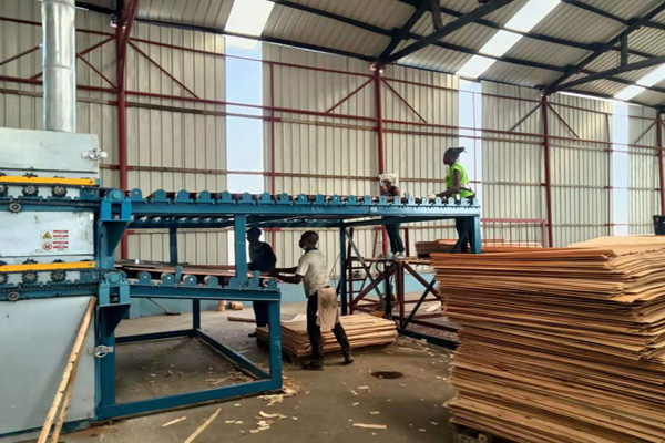 雙層單板深夜网站在线播放